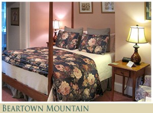 beartown Rooms Overview at the Federal House Inn
